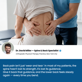 APRIS™ – Pre-Cut Lower Back Support